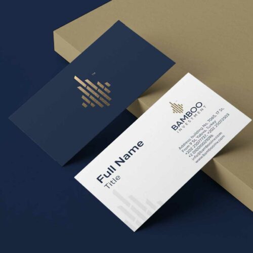 Bamboo | Investment Business Consulting Branding